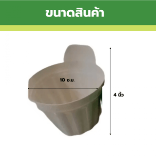 GREENHOUSE กระถาง ใบเล็กคละสี 4 นิ้ว