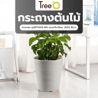 Tree‘O กระถางต้นไม้อัจฉริยะ รุ่น6PY065-GY ขนาด16x16ซม.(6นิ้ว) สีเทา