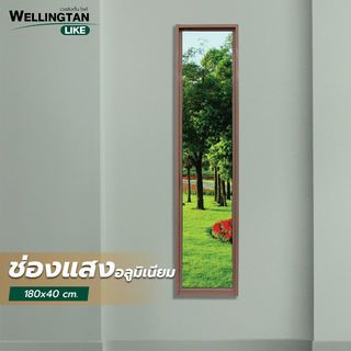 WELLINGTAN (LIKE) ช่องแสงอะลูมิเนียม 180 x 40 ซม. สีชา