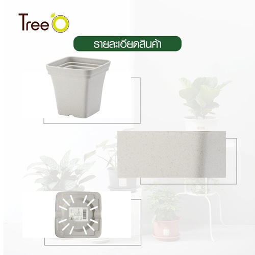 Tree’ O กระถางต้นไม้ รุ่น PY-2056WT ขนาด 15 x 15 x 14 ซม. (6นิ้ว) สีขาว