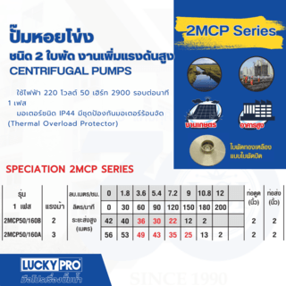 LUCKY PRO ปั๊มหอยโข่ง 2 ใบพัด 3Hp รุ่น LP-2MCP50/160A