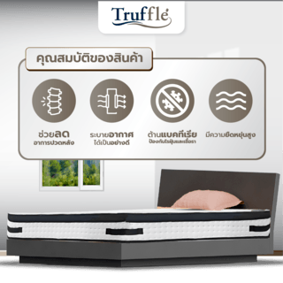 Truffle ที่นอน Pocket Spring เสริมยางพารา รุ่นRatex 6ฟุต หนา10”รับประกันสปริง 5ปี