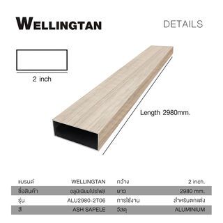 WELLINGTAN อะลูมิเนียมโปรไฟล์ ALU2980-2T06 2”x 298ซม. Ash Sapele