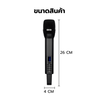 EVISION ชุดไมโครโฟนคู่ไร้สาย รุ่น JMMKF309B