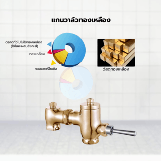 Verno ฟลัชวาล์วโถสุขภัณฑ์นั่งราบแบบก้านกดทองเหลือง รุ่น GCT-003