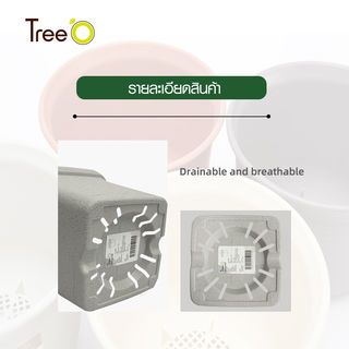 Tree  O กระถางต้นไม้ รุ่น 6PY022-BE ขนาด 15 x 15 x 14 ซม. (6นิ้ว) สีน้ำตาลอ่อน