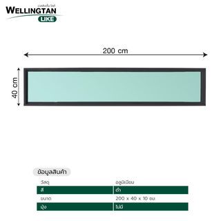 WELLINGTAN (LIKE) ช่องแสงอะลูมิเนียม 200 x 40 ซม. สีดำ