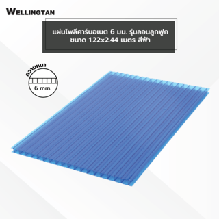 WELLINGTAN แผ่นโพลีคาร์บอเนต 6 มม. ขนาด 1220x2440 มม.สีฟ้า