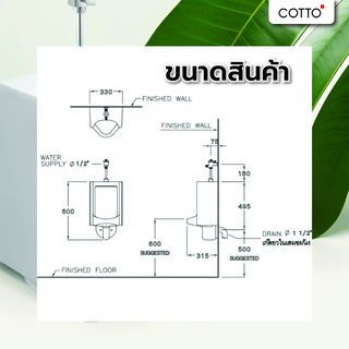 Cotto C313 นาตาชา รุ่น C313 นาตาชา ขนาด