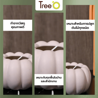 Tree’O กระถางเซรามิก รุ่น 4LY-008 สีเขียว