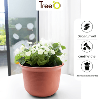 Tree  O กระถางต้นไม้ รุ่น 6PY006-RD ขนาด 30.6 x 30.6 x 21 ซม. (12นิ้ว) สี แดงอิฐ