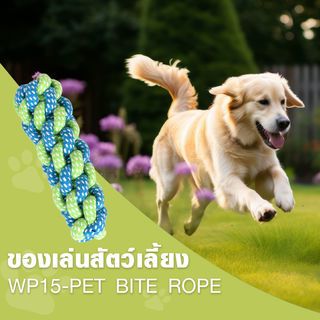 DUDUPETS ของเล่นสัตว์เลี้ยง รุ่นWP15 ขนาด 5X5X15ซม.สีเขียว-ฟ้า