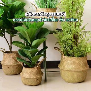 TreeO  ตะกร้าดอกไม้หญ้า ขนาด 32x32x26ซม. รุ่น LS012L สีธรรมชาติ