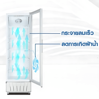 HAIER ตู้แช่เครื่องดื่ม 1 ประตู 13.8 คิว SC-412BC-V2 สีขาว