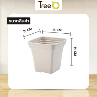 Tree  O กระถางต้นไม้ รุ่น 6PY022-WH ขนาด 15 x 15 x 14 ซม. (6นิ้ว) สีขาว