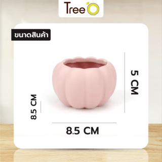 Tree’O กระถางเซรามิก รุ่น 4LY-004 สีชมพู