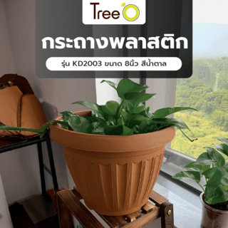 Tree O กระถางพลาสติก  รุ่น KD2003 ขนาด 8นิ้ว สีน้ำตาล