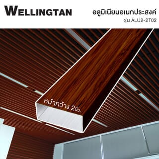 អាលុយមីញ៉ូម ទំហំ 2 ប្រវែង 2m ស៊េរី ALU2-2T02