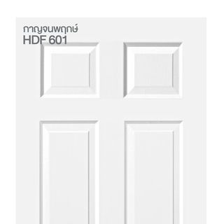 HOLZTUR ประตู HDF บานทึบลูกฟัก รุ่น 601 ขนาด 80x200 ซม. สีรองพื้นขาว (ไม่เจาะรูลูกบิด)