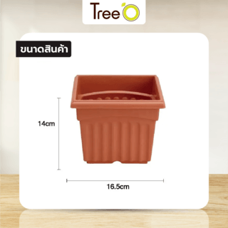 Tree O กระถางพลาสติก สี่เหลี่ยม รุ่น KD4001 ขนาด 6นิ้ว สีอิฐ