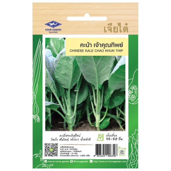 เจียไต๋ เมล็ดพันธุ์- คะน้ายอด เจ้าคุณทิพย์ ซ. 15 g