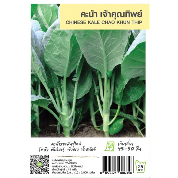 เจียไต๋ เมล็ดพันธุ์- คะน้ายอด เจ้าคุณทิพย์ ซ. 15 g