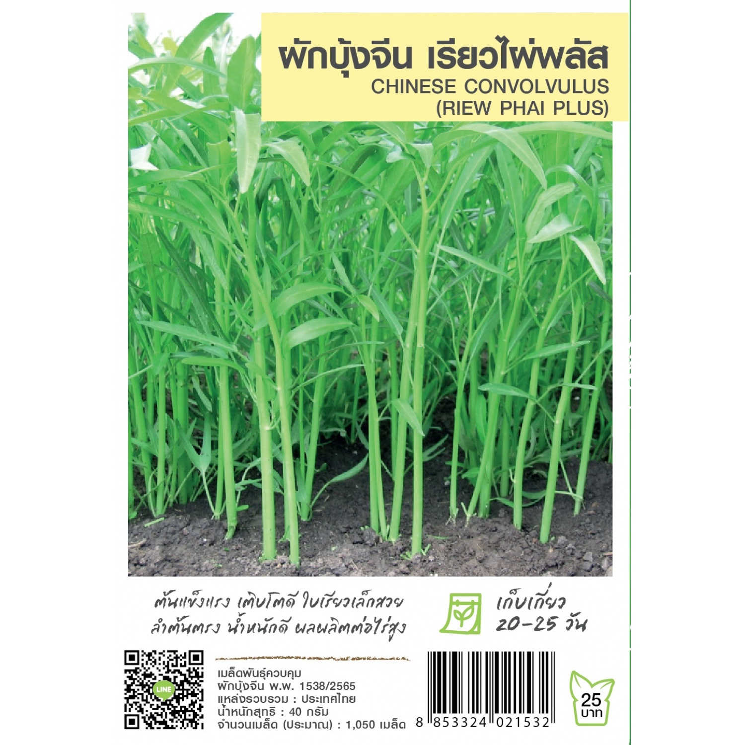 เจียไต๋ เมล็ดพันธุ์- ผักบุ้งจีนเรียวไผ่พลัส ซ. 40 g