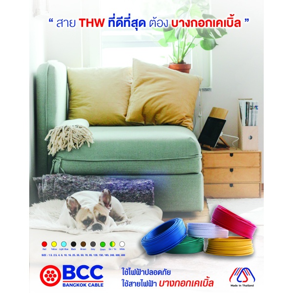 BCC สายไฟ THW 1x2.5 ตร.มม. 30 m. สีน้ำตาล