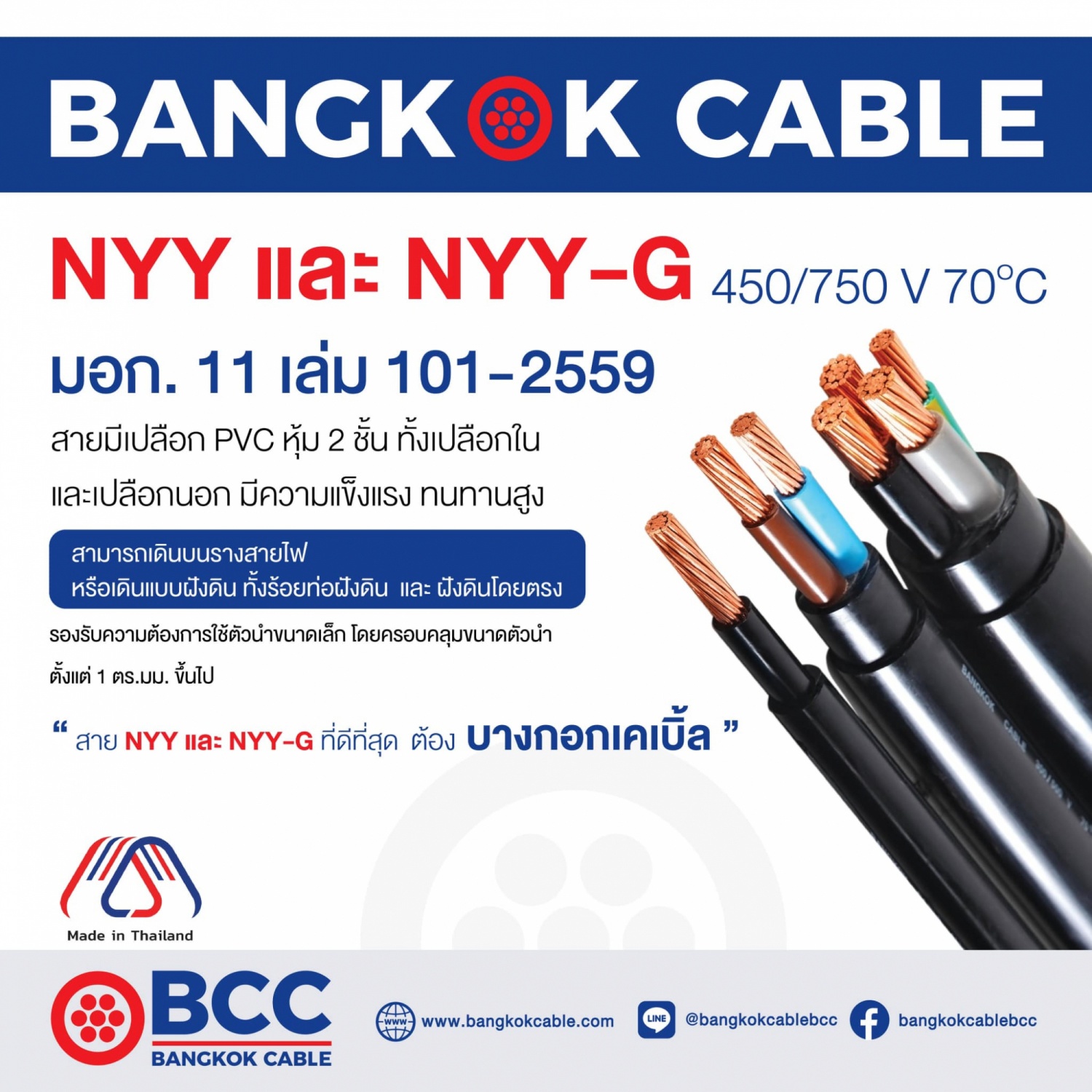 BCC สายไฟ NYY 1x6 ตร.มม. 100 m. สีดำ