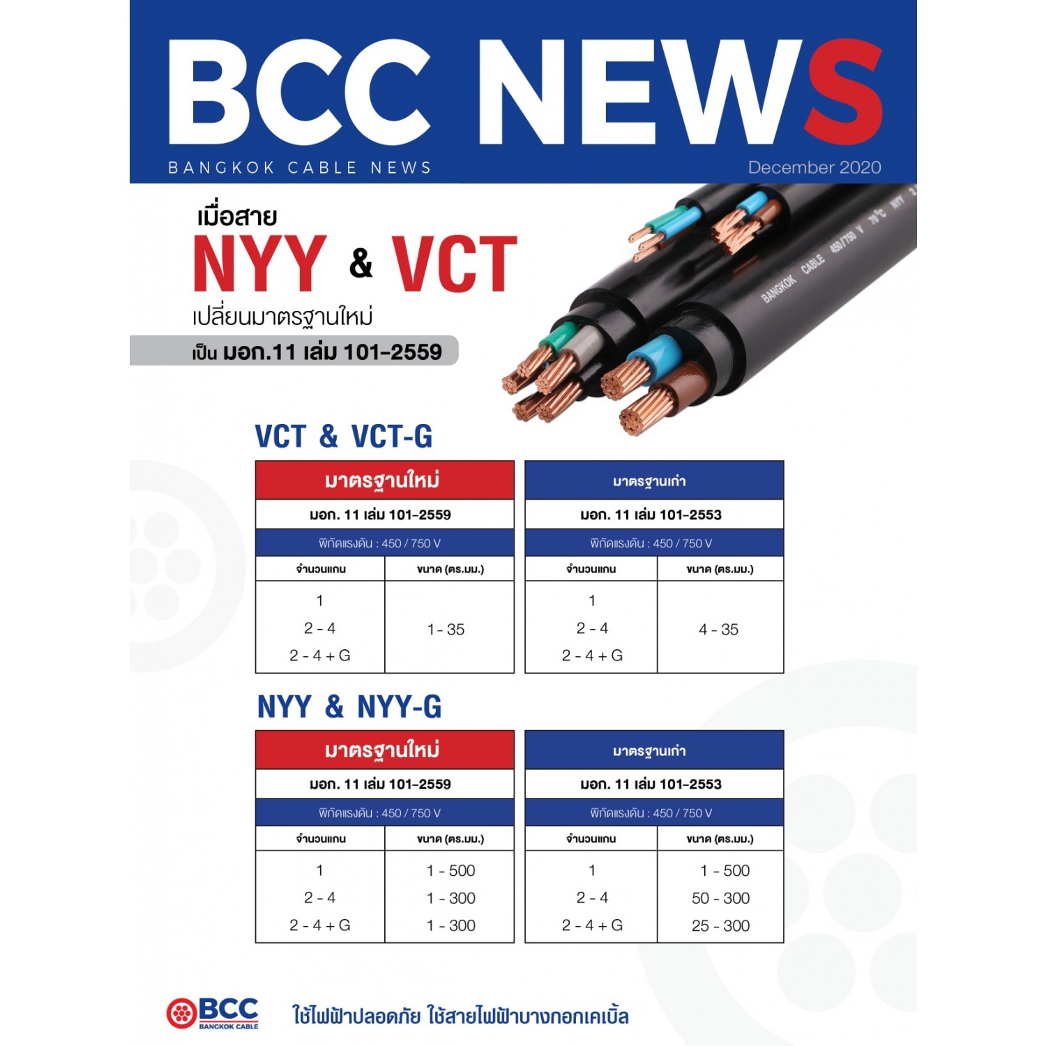 BCC สายไฟ NYY 2x4 ตร.มม. 1 m. สีดำ