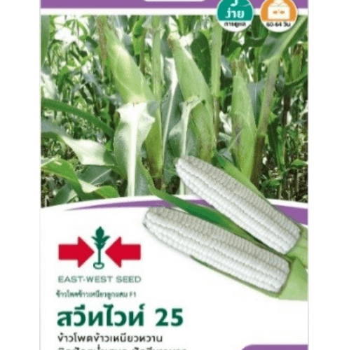 ศรแดง เมล็ดพันธุ์-ข้าวโพดข้าวเหนียวลูกผสม สวีทไวท์ 25 F1