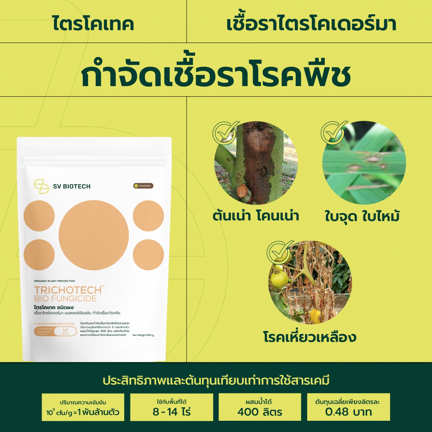 SV Biotech ไตรโคเทค  (เชื้อราไตรโคเดอร์มา)   ชนิดผง 500g