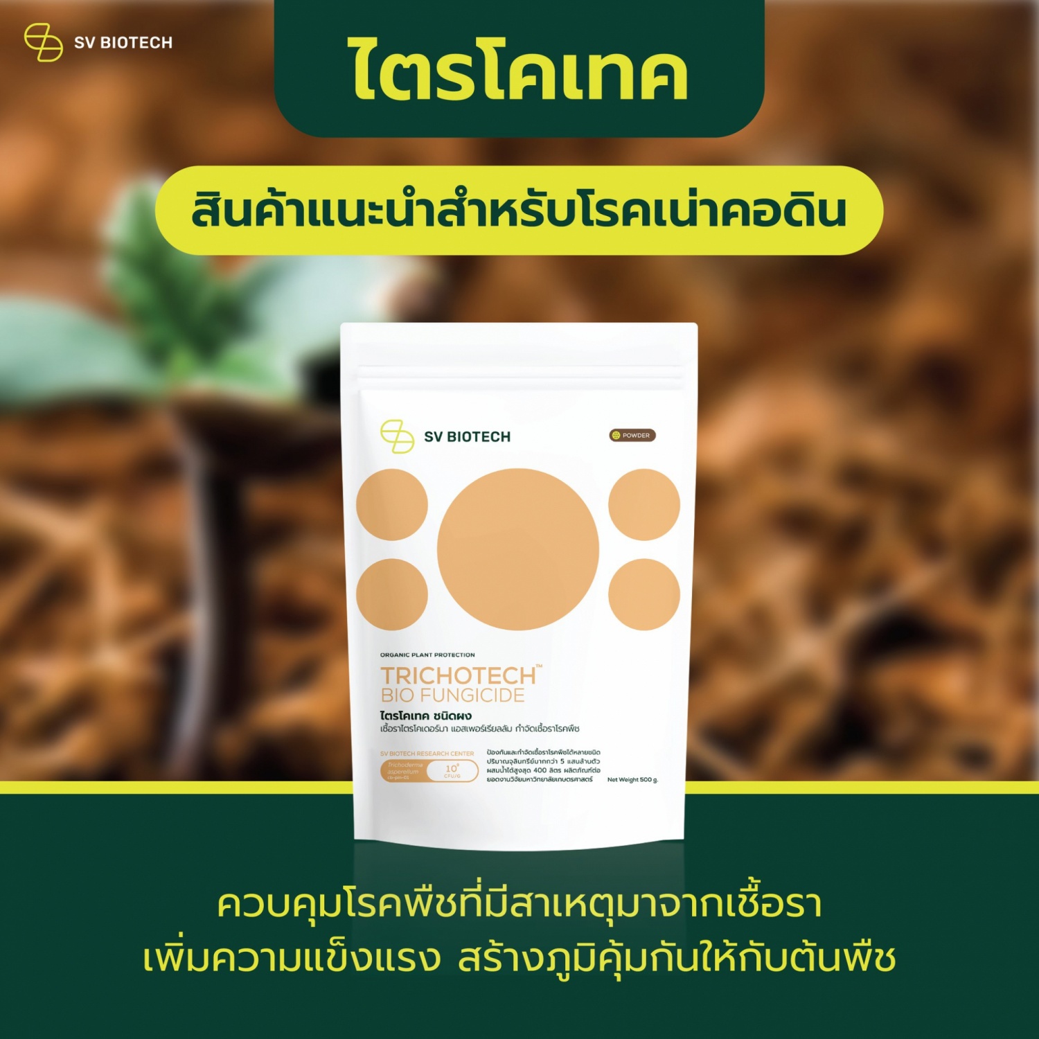 SV Biotech ไตรโคเทค  (เชื้อราไตรโคเดอร์มา)   ชนิดผง 500g