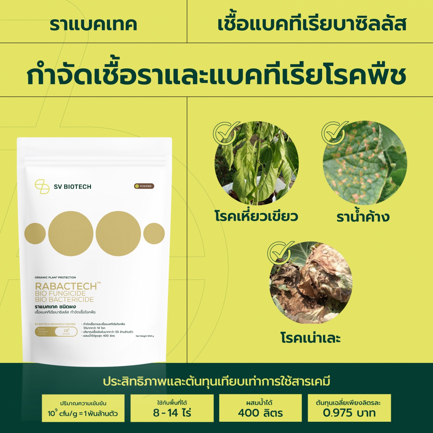 SV Biotech ราแบคเทค (เชื้อแบคทีเรียบาซิลลัส) ชนิดผง 500g