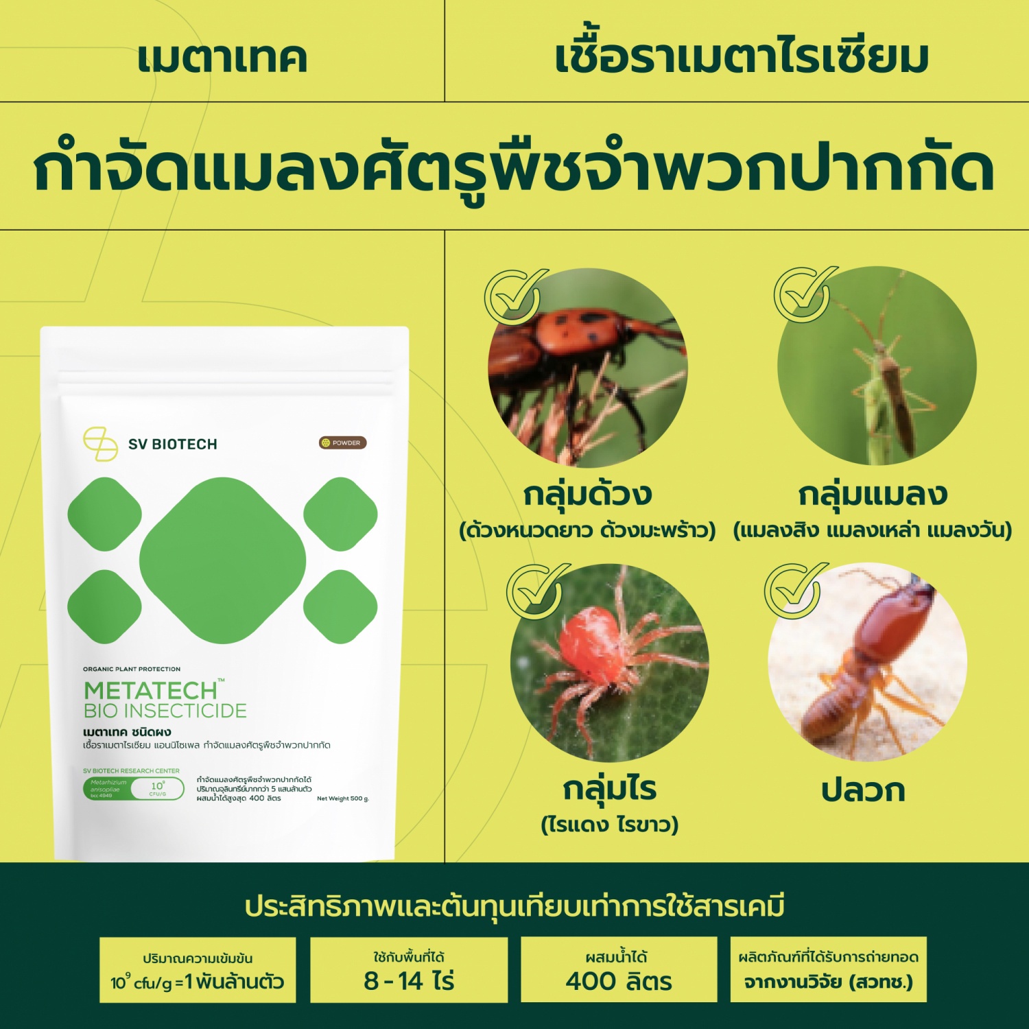 SV Biotech เมตาเทค (เชื้อราเมตาไรเซียม) ชนิดผง 500g