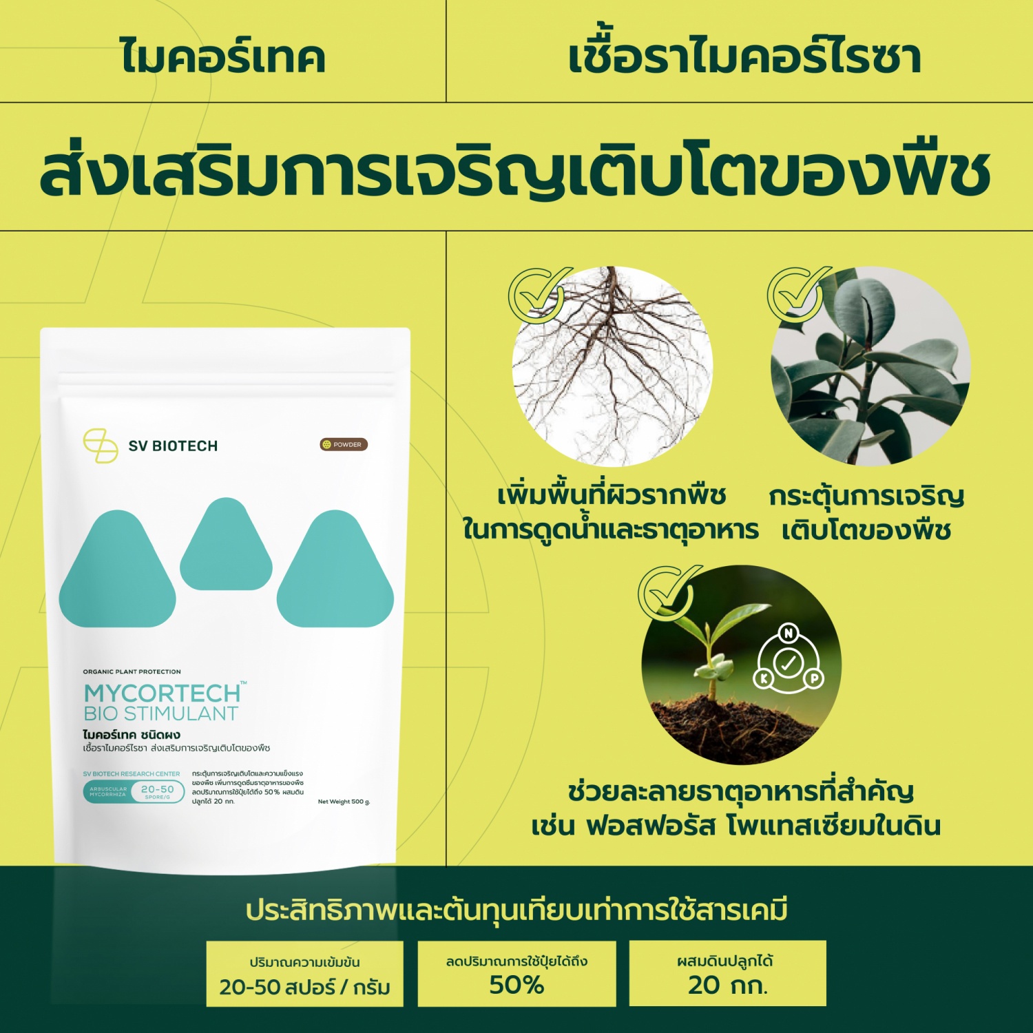 SV Biotech ไมคอร์เทค (เชื้อราไมคอร์ไรซา) ชนิดผง 500g