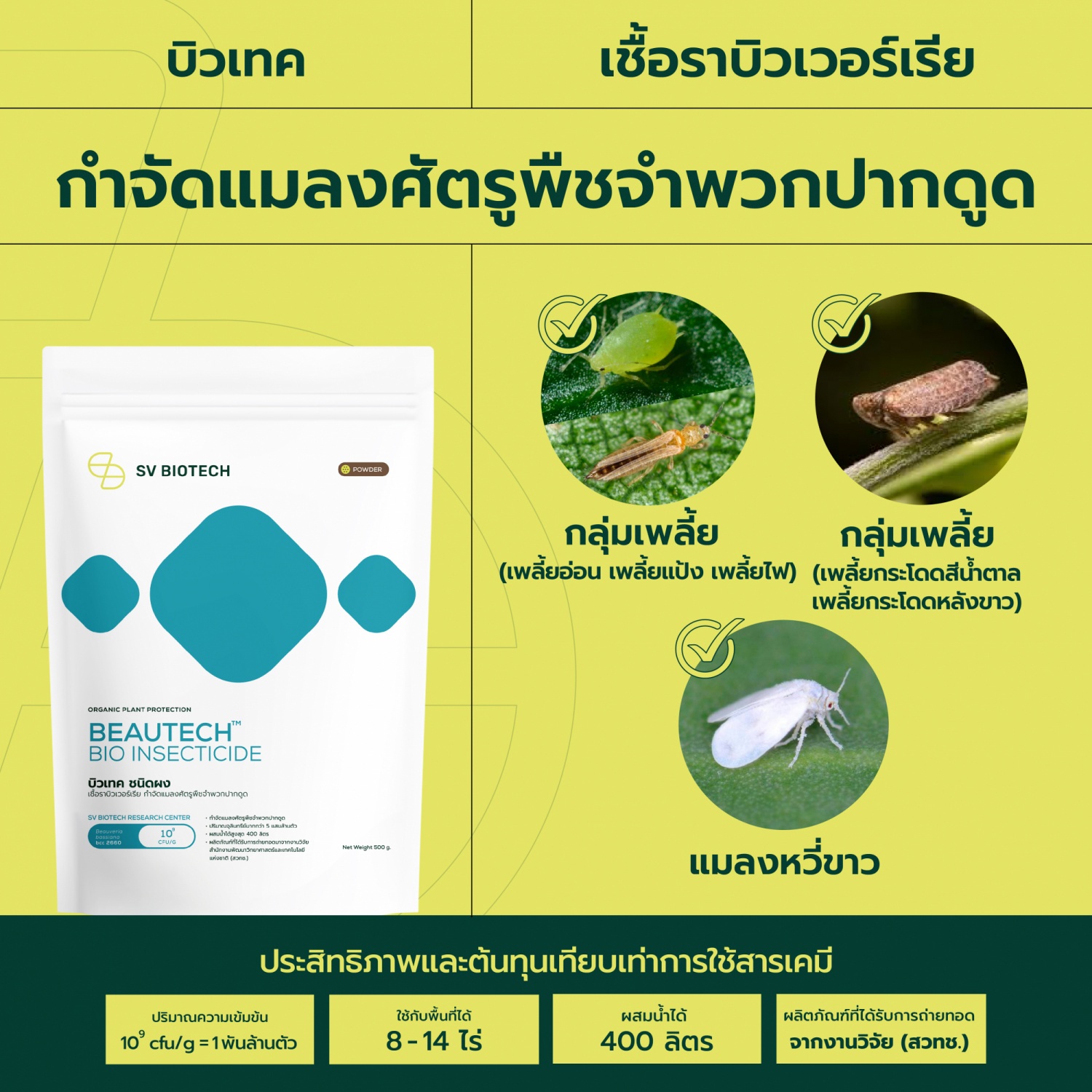 SV Biotech บิวเทค (เชื้อราบิวเวอร์เรีย) ชนิดผง 100g