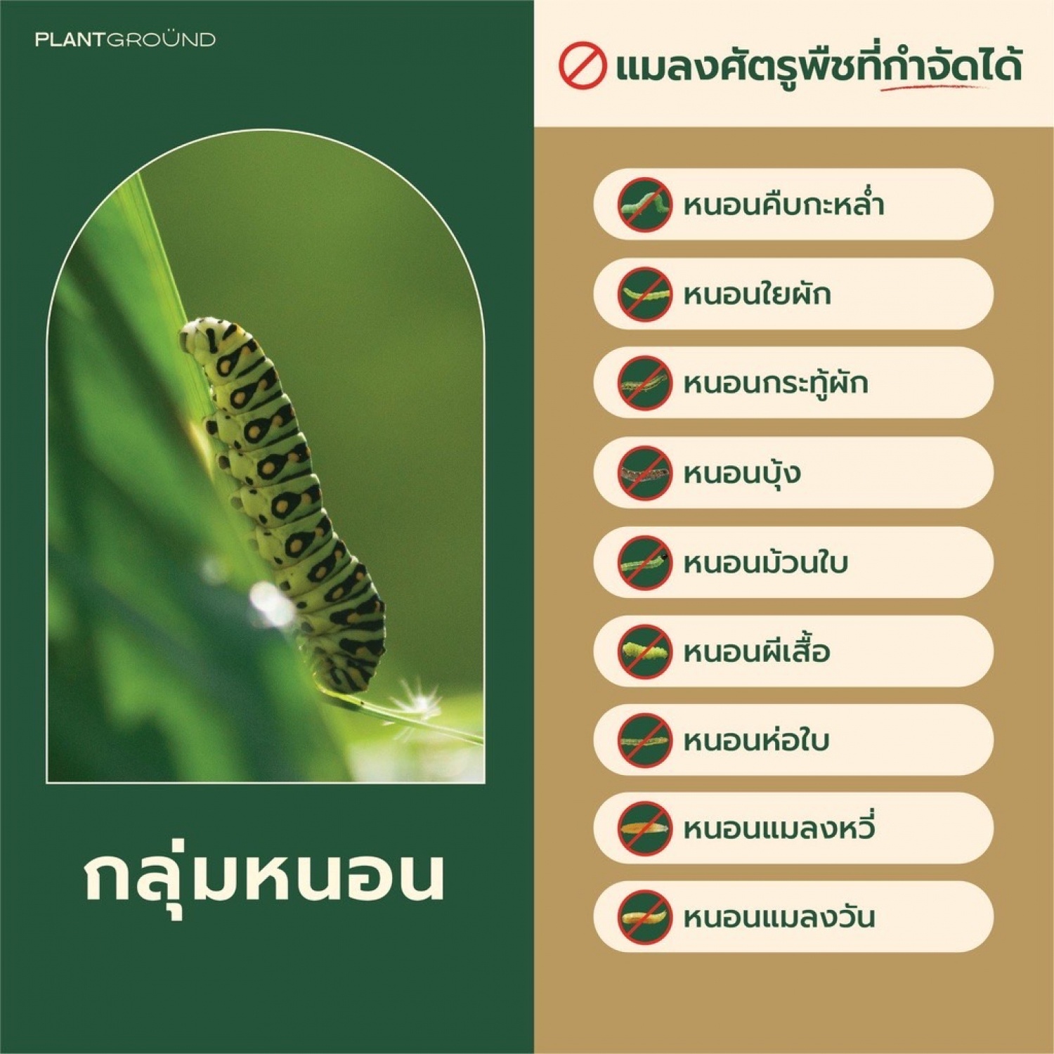 สเปรย์กำจัดแมลงศัตรูพืชออร์แกนิค เพรสแคร์ ขนาด 500 มล.