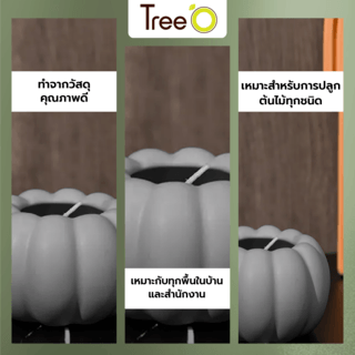 Tree’O กระถางเซรามิก รุ่น 4LY-006 สีเทา