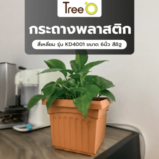 Tree O กระถางพลาสติก สี่เหลี่ยม รุ่น KD4001 ขนาด 6นิ้ว สีอิฐ