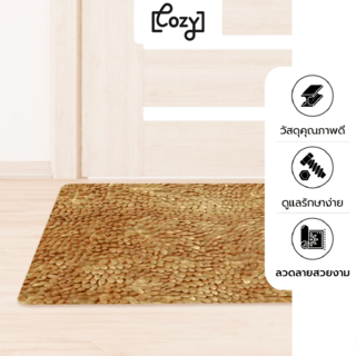 COZY พรมเช็ดเท้า 50×80×2ซม. รุ่น JS06 สีทอง