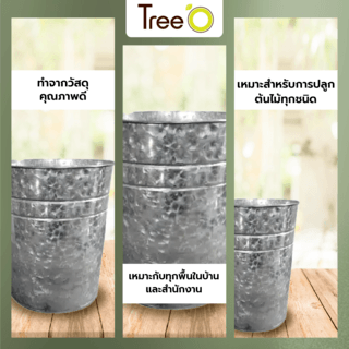 Tree O กระถางสังกะสี ขนาด 12ซม. รุ่น6YT004-2