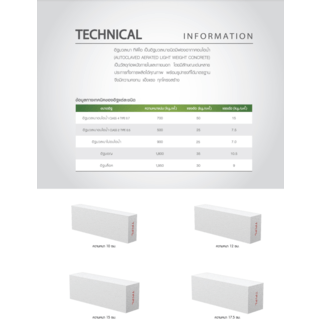 TPI อิฐมวลเบา ขนาด 20x60x7.5ซม.G4