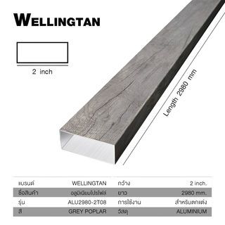 WELLINGTAN อะลูมิเนียมโปรไฟล์ ALU2980-2T08 2”x 298ซม. Grey Poplar