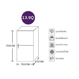 SAMSUNG ตู้เย็น 2 ประตู ขนาด 13.9 คิว RT38CG6020B1ST สีดำ