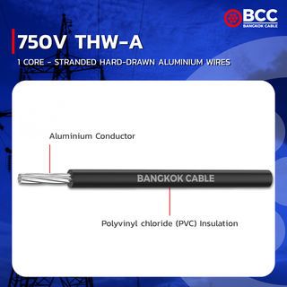 BCC สายไฟ THW-A 1x50 ตร.มม. 500 m. สีดำ