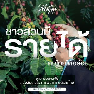 เมล็ดกาแฟคั่ว  -สูตรร้อน LAMAYON (1000 กรัม)