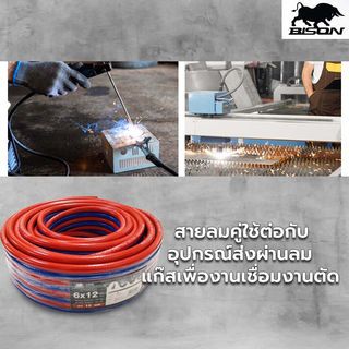 BISON สายลมคู่ 6x12 มม. 10 เมตร รุ่น PTWH0612-10 น้ำเงิน-แดง