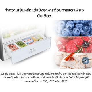 SAMSUNG ตู้เย็น 2 ประตู ขนาด 17.8 คิว RT50K6235S8/ST บรอนด์เงิน