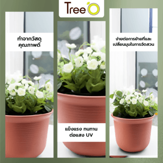 Tree  O กระถางต้นไม้ รุ่น 6PY006-RD ขนาด 30.6 x 30.6 x 21 ซม. (12นิ้ว) สี แดงอิฐ